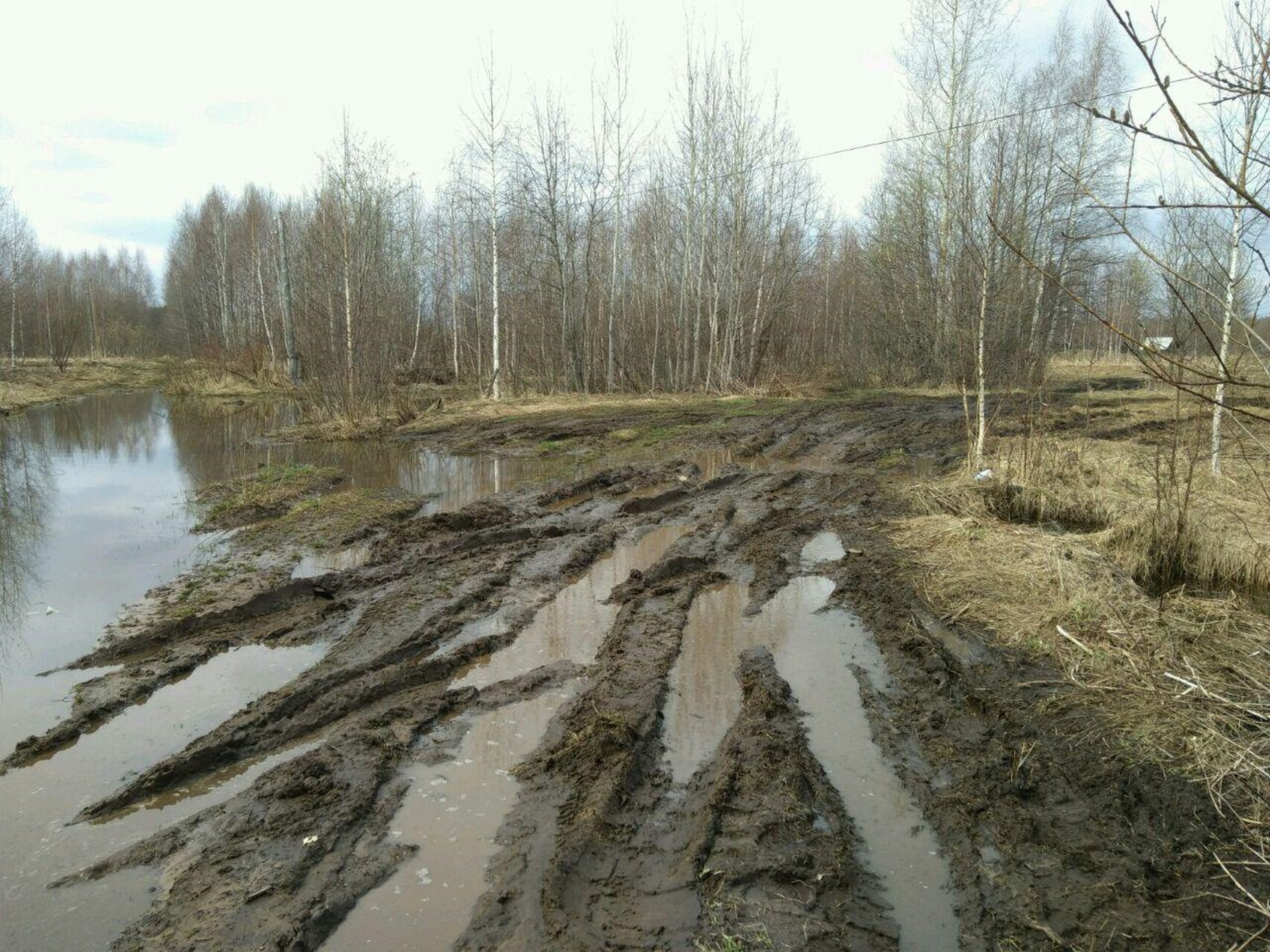 А вот туда, налево, в разлив, я не поехал. Потому что псих, а не самоубийца. И трактор далеко.