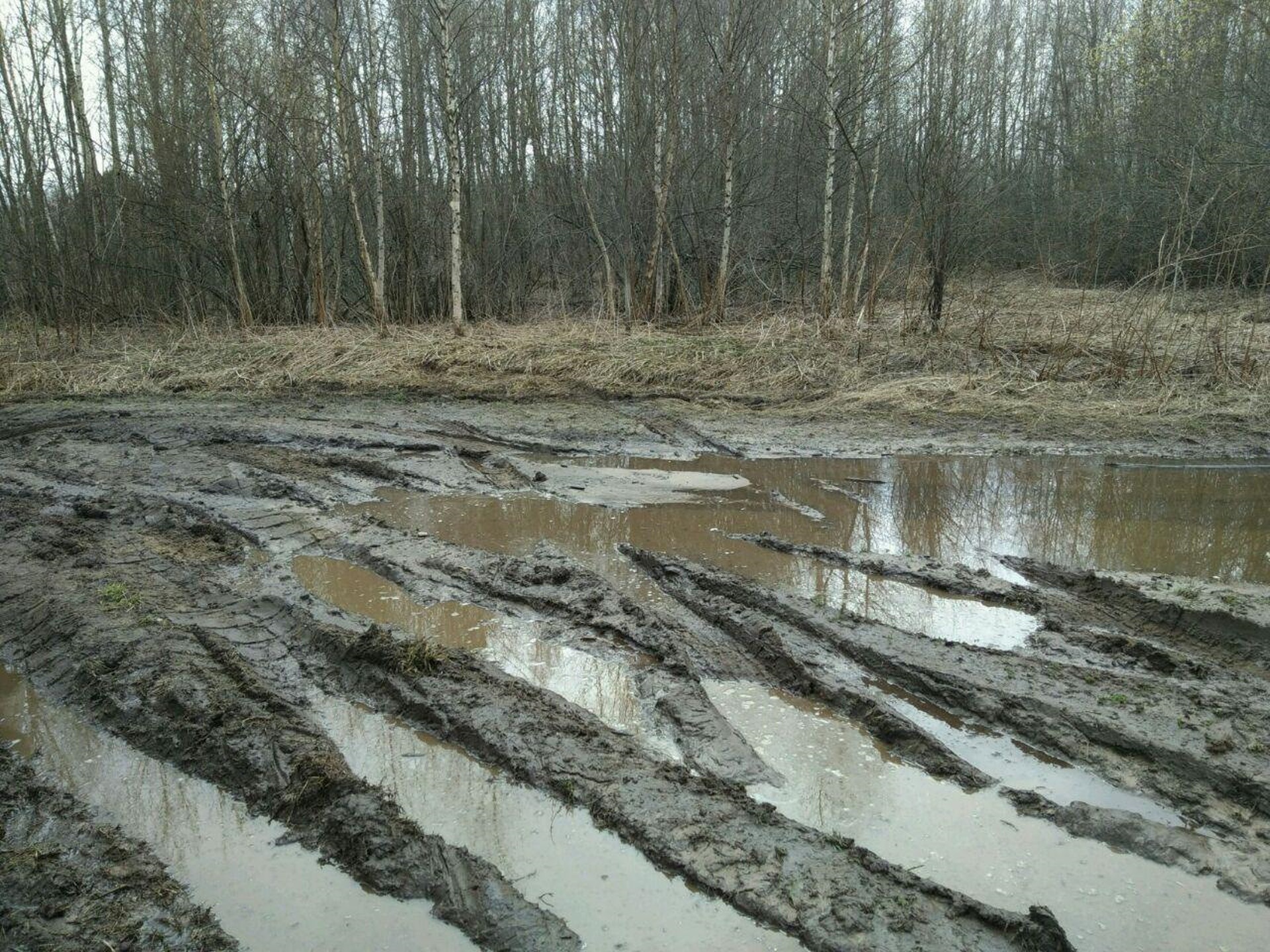 И как на зло, даже сапог резиновых нет.