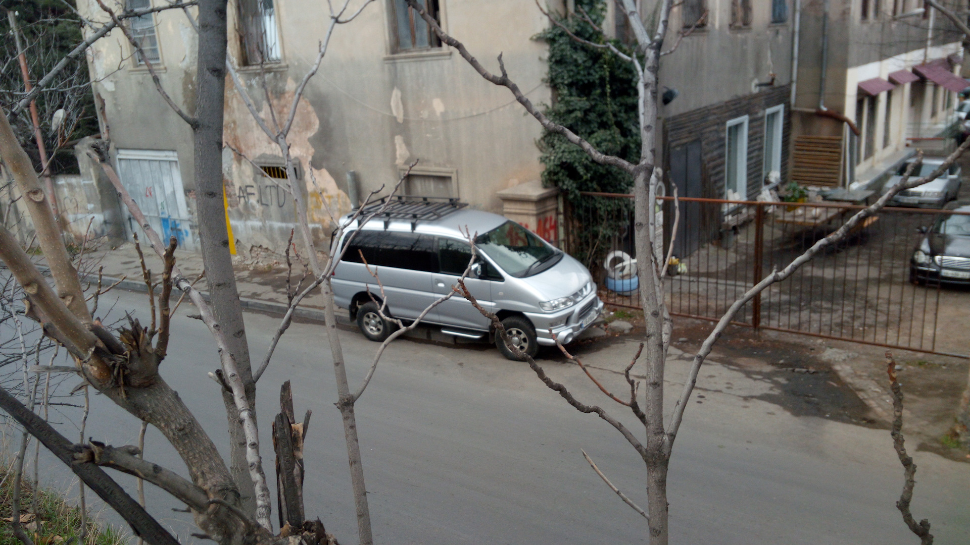 Делики и в городе тоже тусят.