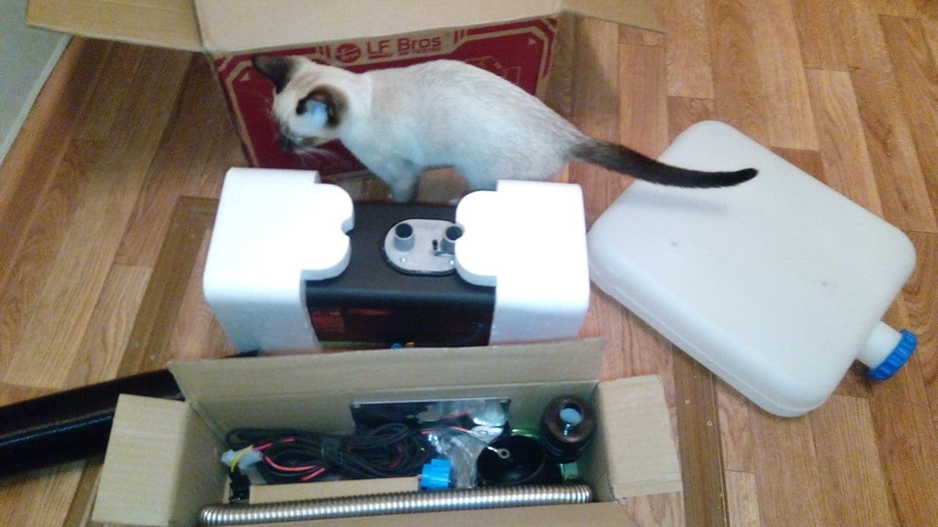 Котэ одобряэ
