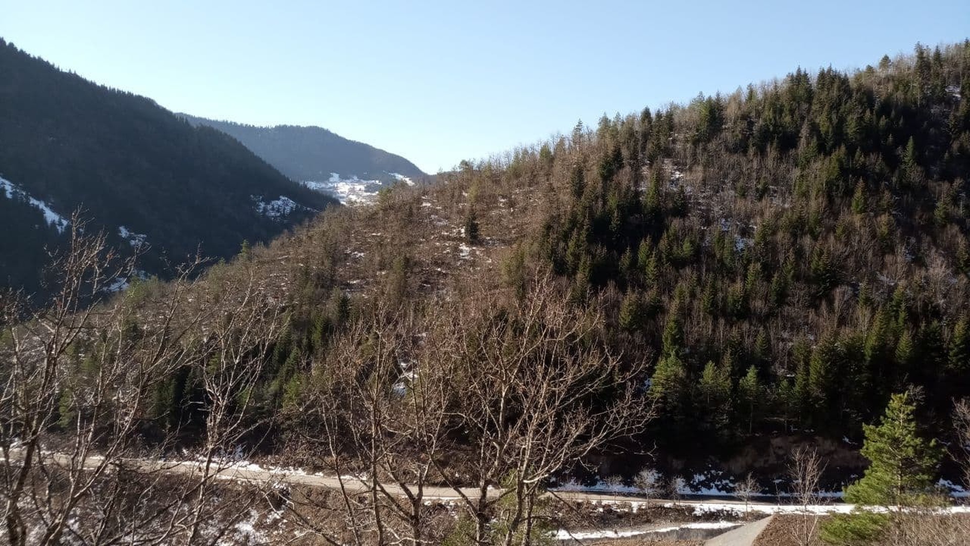 И совсем пока не страшно