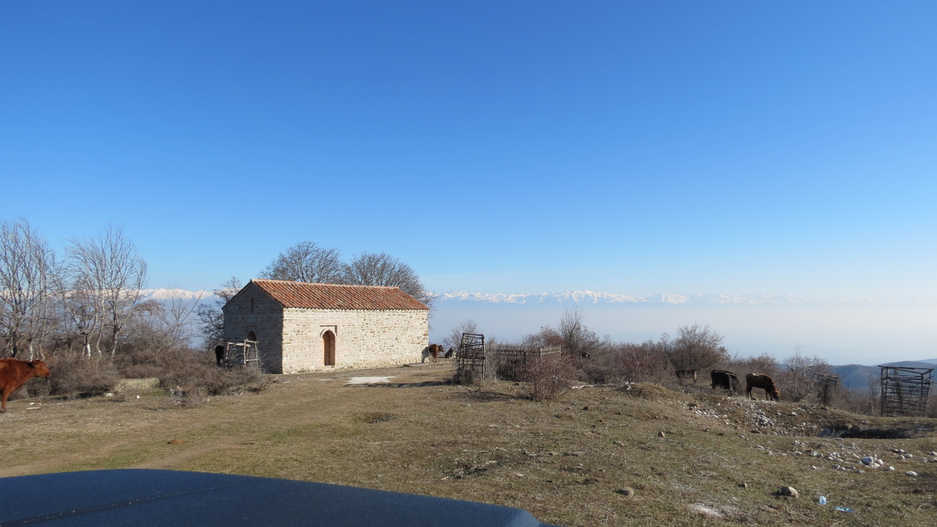 Featured image of post 0204. Грузия 2021: Долина Алазани