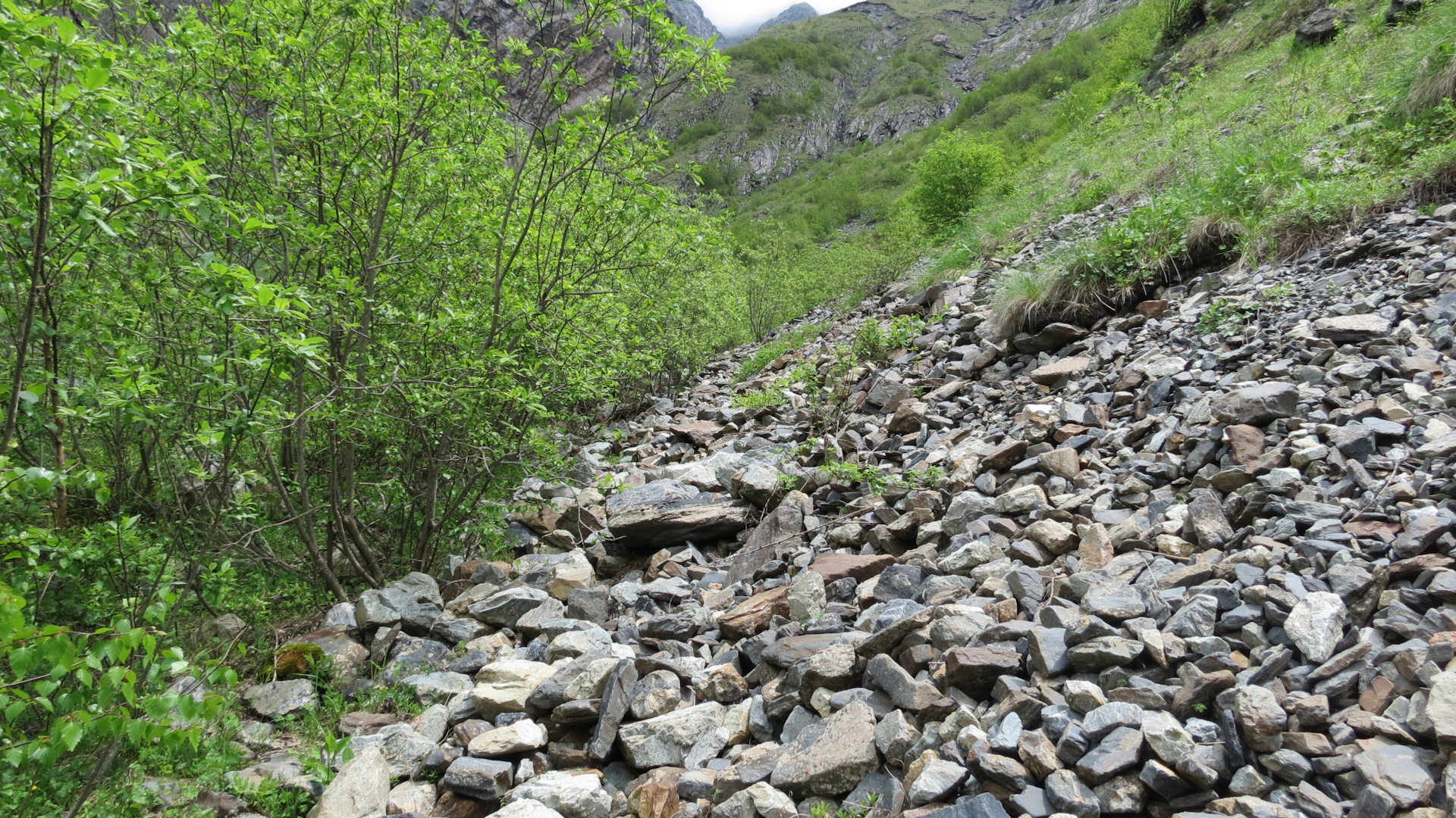 Попытка подойти к водопаду Кристальный. Доселе боле-мене дорога превратилась в оползень и ещё 200 метров ломать ноги на таком рельефе показалось неразумным.