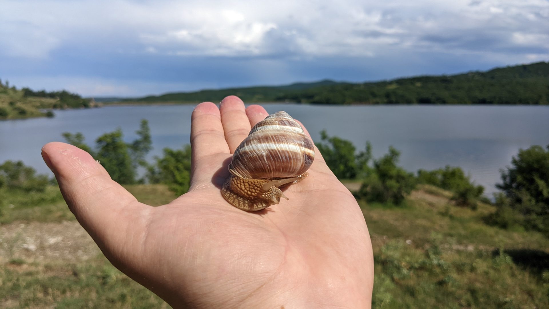 Нотис. Позирует.