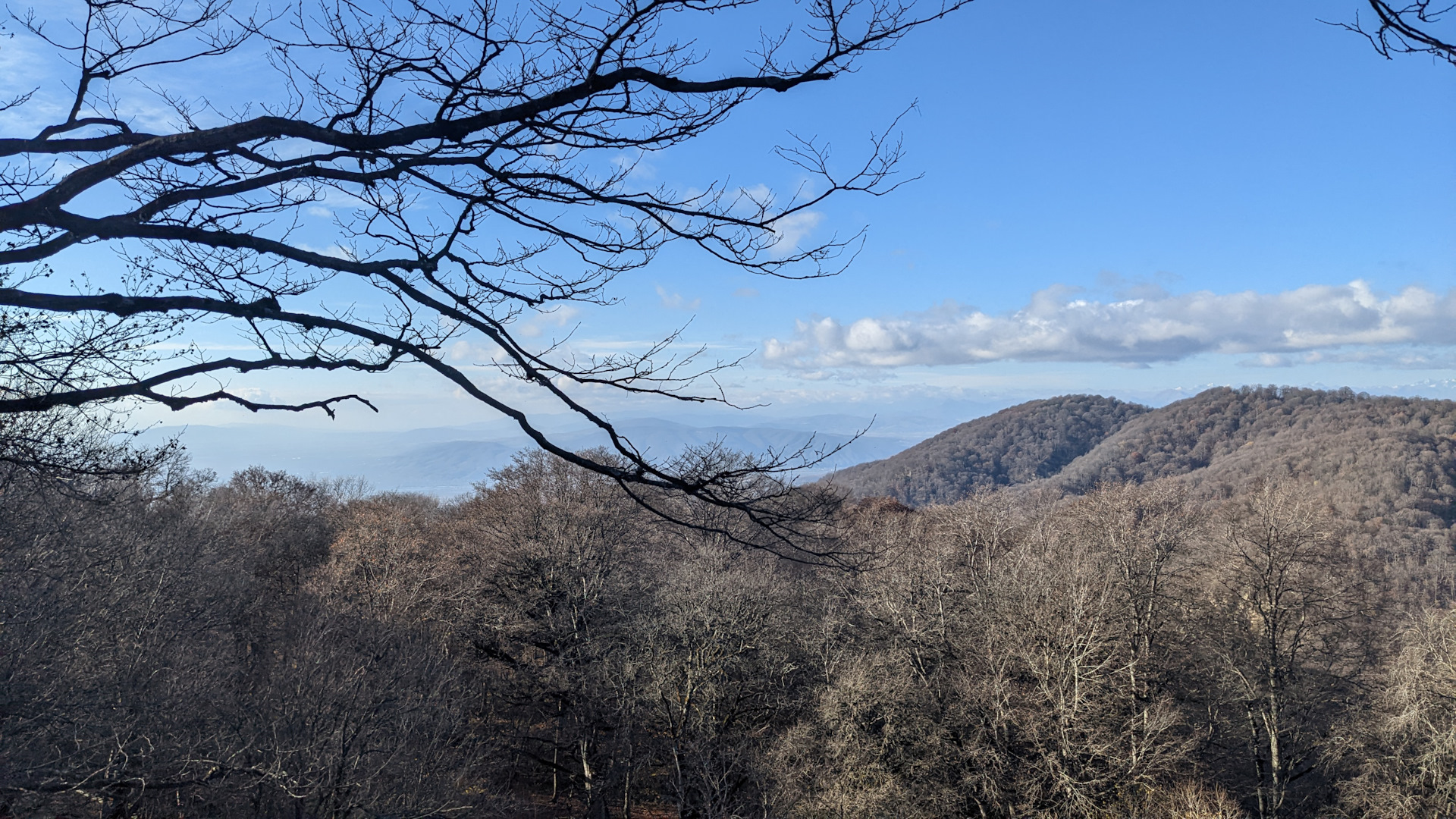 В более позднее время ветер обрывает листья быстрее, чем те готовы бы были упасть. Резко холодает, но всё-равно очень красиво.