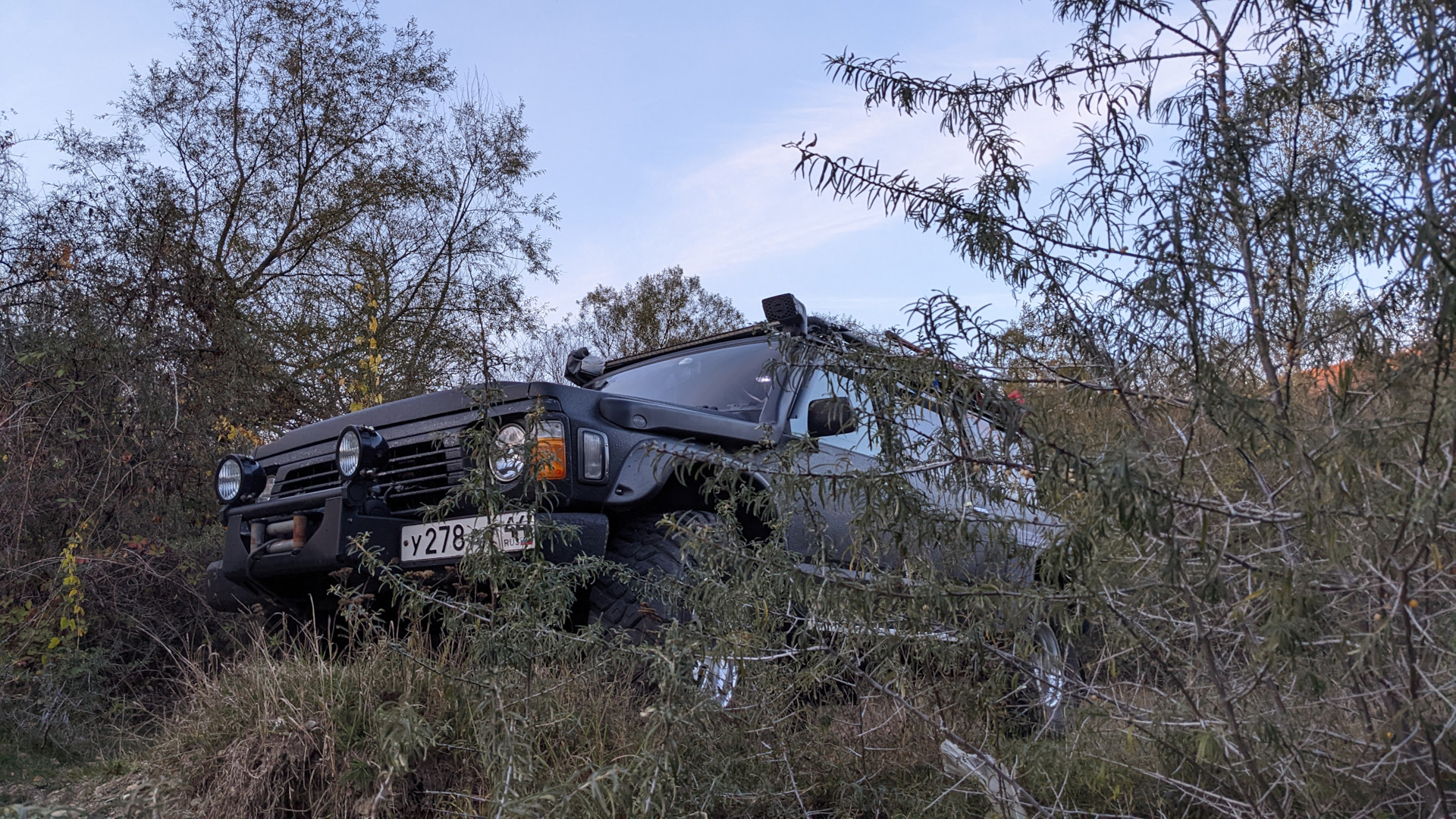 Кроконяшка в кустах спрятался