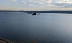 Featured image of post 0272. Прибавление в компании моего бестиария