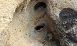 Featured image of post 0275. Tbilisi weekend: Каспи