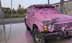 Featured image of post 0345. Стоит, позорит хозяина