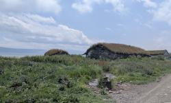 Featured image of post 0397. Трек Паравани — Табацхури